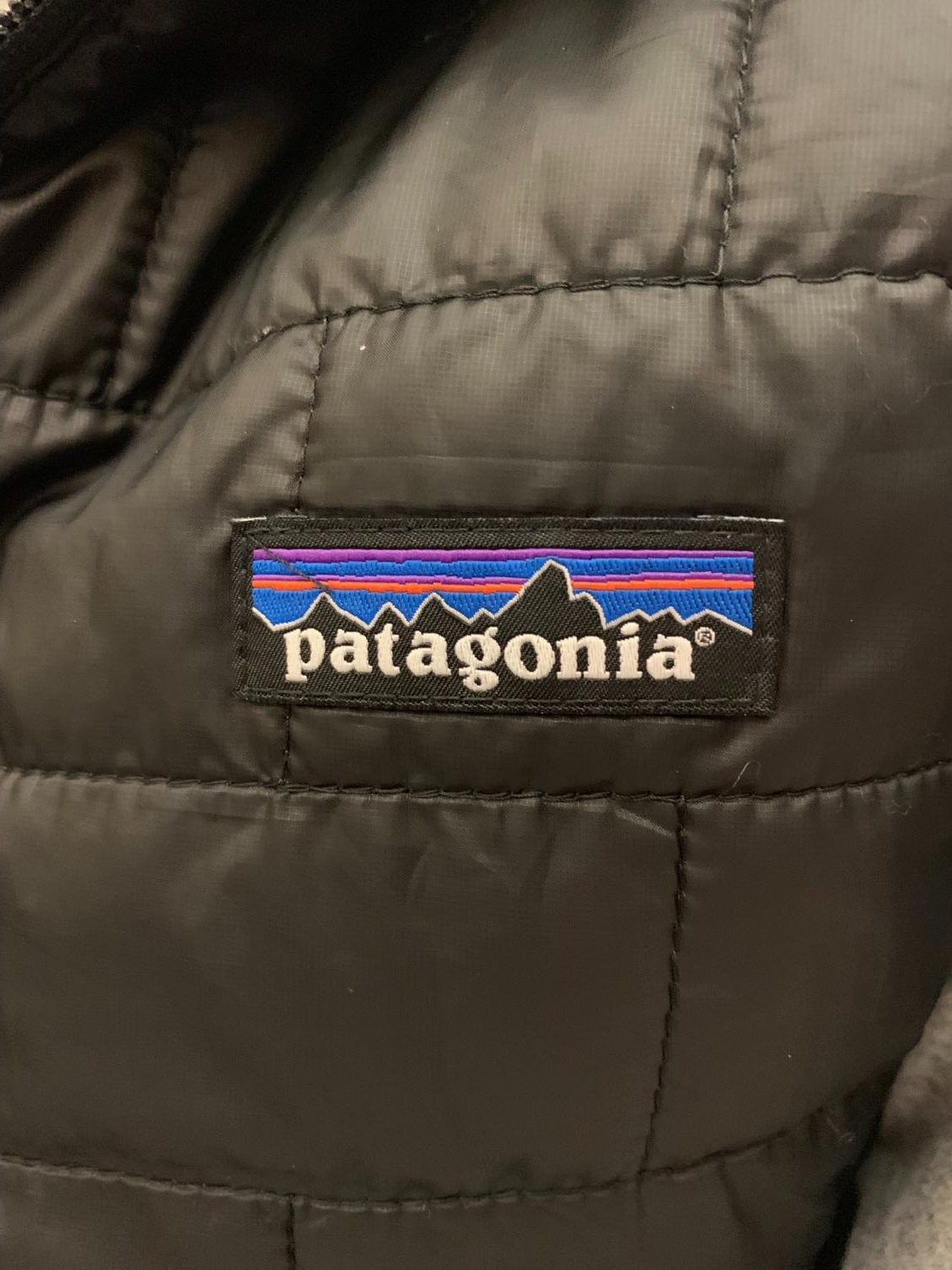 Patagonia invests in the environment – The Mirror