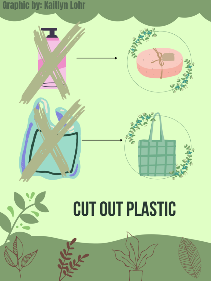Graphic depicting some plastic-free switches                                                                                                                                                           you can make