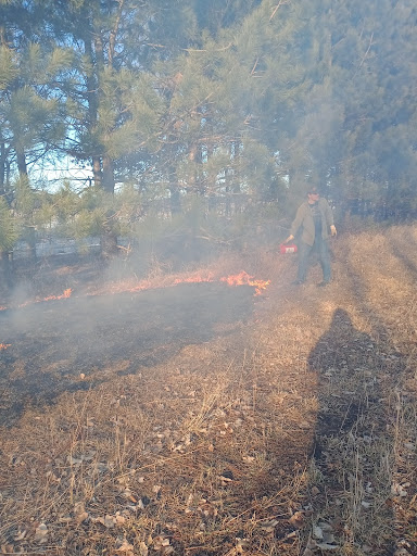 Pictured: Justin Wisinski, an outdoorsman, is conducting a 
prescribed burn to better the wildlife by providing fresh 
green growth. Prescribed burns are one of many great 
tools to manage wildlife.