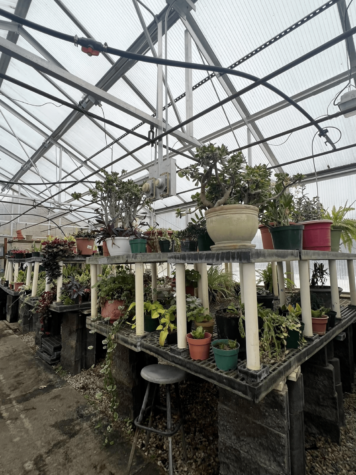 Importance of the SPASH Greenhouse